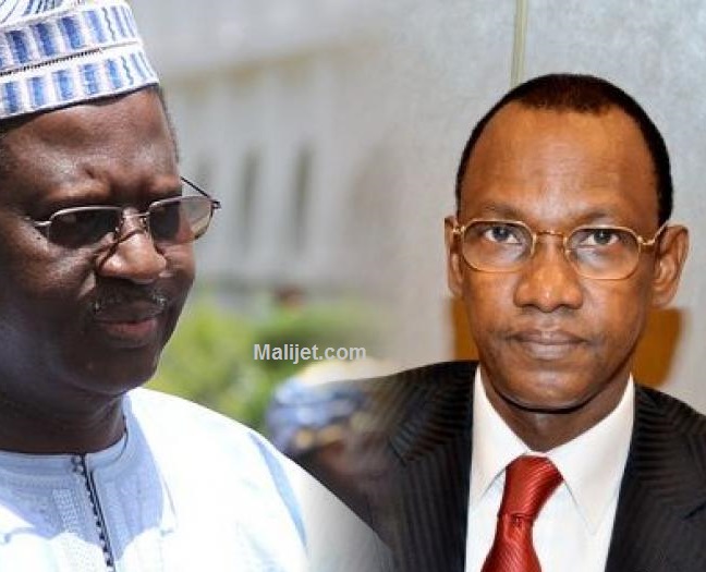 tall_maiga_621013565