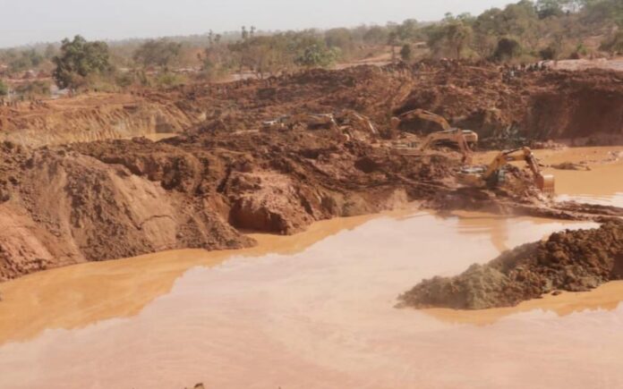 WhatsApp Image 2025-02-16 at 13.45.13