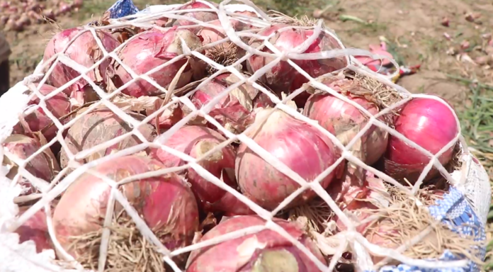 Capture d’écran 2025-03-04 à 22.14.03