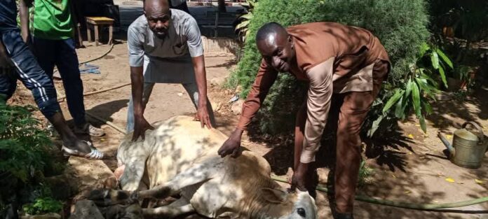 FB_IMG_1743267699071