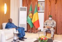 BOAD : le Président de la Transition reçoit Abdoulaye DAFFE, nouveau Vice-Président