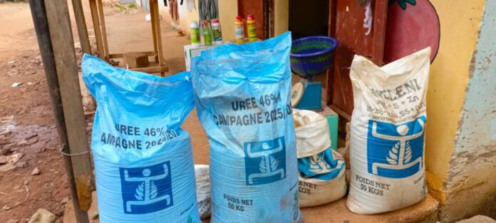 WhatsApp Image 2025-07-08 at 19.19.43