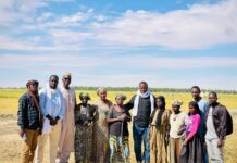 Amadia, Daye, Koriomé : Trois localités, un destin commun