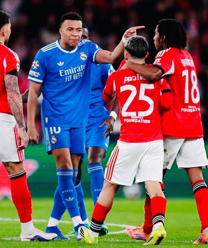 FB_IMG_1771372169298