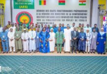 An II de la Confédération AES : les hauts fonctionnaires chargés des trois piliers examinent le projet de feuille de route