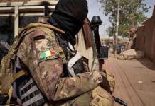 Terrorisme : Une dizaine de terroristes neutralisés à Kidal