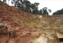 Mali : une Brigade spéciale des Mines voit le jour