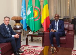 Diplomatie : Le Ministre Abdoulaye DIOP s’entretient avec l’Émissaire spécial autrichien sur le renforcement du partenariat bilatéral