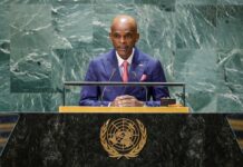 Robert Dussey : « Si l’AES vacille c’est toute la région qui sera menacée »