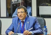 Parlement Panafricain : Le candidat algérien Fateh Boutbig choque en qualifiant l’Algérie de « pays quasi européen »