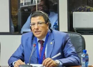 Parlement Panafricain : Le candidat algérien Fateh Boutbig choque en qualifiant l’Algérie de « pays quasi européen »