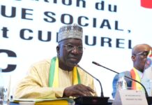 Recueil 2026: Le CESEC à l’écoute de nos compatriotes établis en Chine