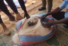 Niger: Importante saisie de dynamites à la gare routière