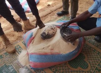 Niger: Importante saisie de dynamites à la gare routière