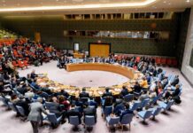 Déclaration du Conseil de sécurité sur les attentats terroristes au Mali