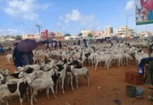 Commerce : le Burkina suspend l’exportation du bétail