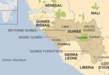 Guinée : au moins 11 morts dans l’éboulement d’une mine artisanale
