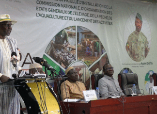Élevage, pêche et aquaculture: En faire de véritables leviers de développement économique du Mali