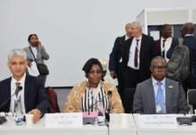 Mise en œuvre du Plan d’Investissements Prioritaires Décennal de la Grande Muraille Verte : Le Mali porte la voix de l’Agence Panafricaine face aux partenaires financiers