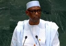 Diop à la tribune des NU: « l’Ukraine est la partie visible de l’iceberg de la déstabiliser de nos pays… »